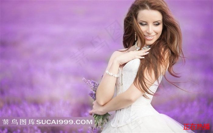 盛夏蝉鸣电视剧免费观看