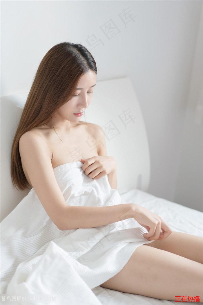 飞马奇遇记