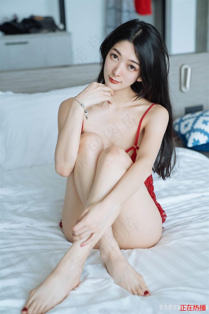捍卫入侵者