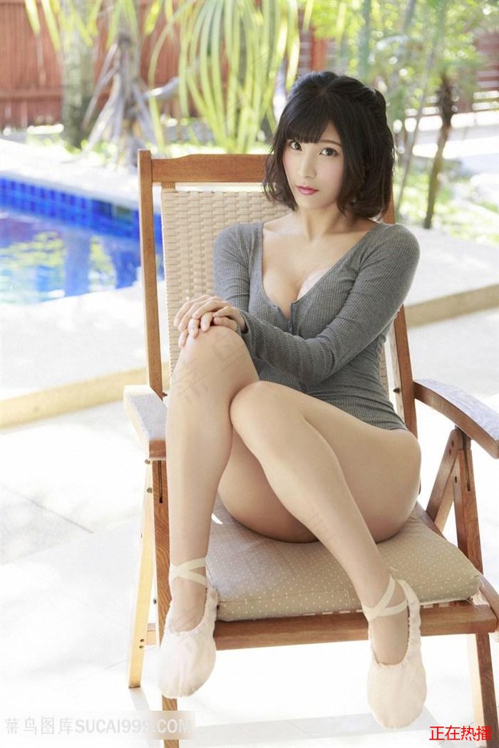灿烂丁香